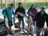 (09/28/2018) - Nice Striped Bass